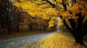 Погода на 30 октября и на неделю вперед   