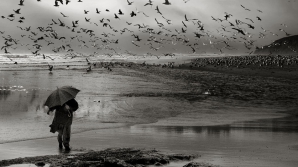 Желтый код в связи с похолоданием