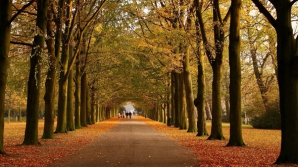 Погода на 26 октября 2011