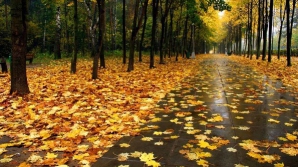 Погода на 22 октября 2011