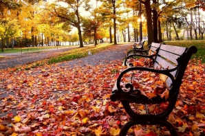 Погода на 1 ноября 2011