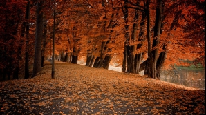 Погода на 27 октября 2011