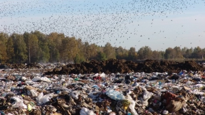 Жители пригородных сёл Бубуечи и Бык протестуют против стихийной свалки