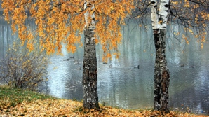 Погода на 17 октября 2011