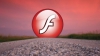 Adobe прекращает разработку мобильного плеера Flash Player