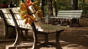 Погода на 23 ноября 2011