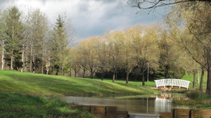 Погода на 15 ноября 2011