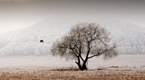 Погода на 1 декабря 2011