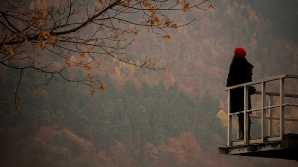 Погода на 28 ноября 2011