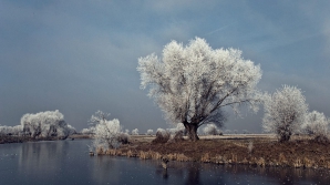 Погода на 30 ноября 2011