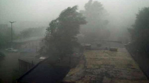 Метеорологи объявили желтый код в связи с усилением ветра