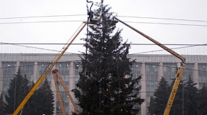 Главная елка страны будет открыта 1 декабря 