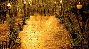 Погода на 18 ноября 2011