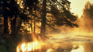 Погода на 24 ноября 2011