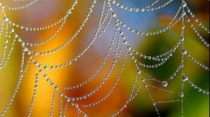 Погода на 27 ноября 2011