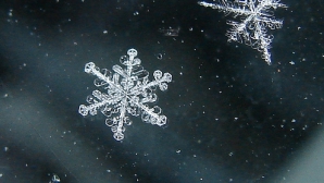 Погода на 11 ноября 2011