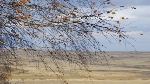 Погода на 13 ноября и на ближайшую неделю 