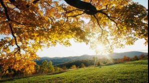 Погода на 6 ноября 2011