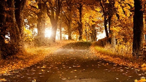 Погода на 5 ноября 2011