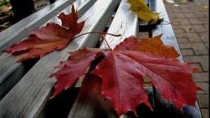 Погода на 29 ноября 2011