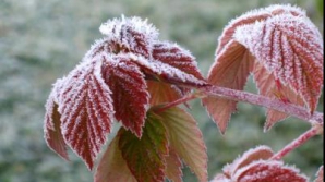 Погода на 21 ноября 2011