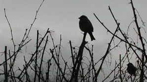 Погода на 10 ноября 2011