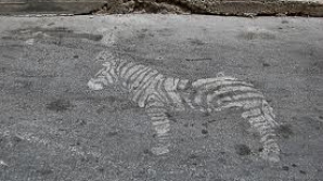 Aктриса Вера Марьянчик нарисовала зебры по ул. Албишоара в Кишинёве