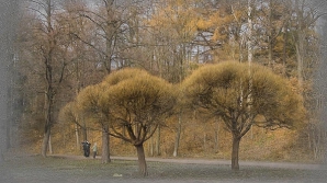 Погода на 25 ноября 2011