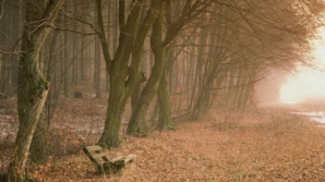 Погода на 14 ноября 2011