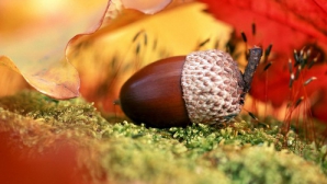 Погода на 8 ноября 2011