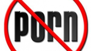 Неопределенность между эротикой и порнографией – причина, по которой не может быть выдана авторизация на эротический бизнес в видеочате