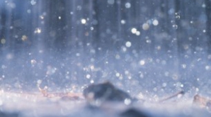 К зимним праздникам снега в Молдове не будет, прогнозируют метеорологи 