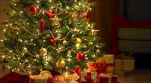 Ученые: Рождественская елка может стать причиной насморка, бессонницы и болей в груди 