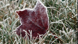 Погода на 5 декабря 2011