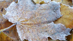 Погода на 10 декабря 2011