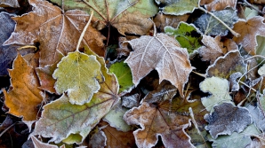 Погода на 7 декабря 2011