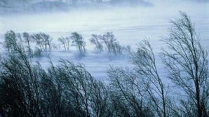 Желтый код опасности: ожидается усиление юго-западного ветра 