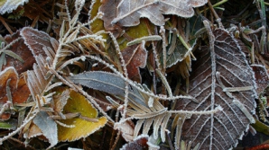 Погода на 4 декабря 2011