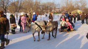 Любой житель Великобритании может отправиться в рождественскую сказку на настоящих оленях