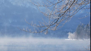 Погода на 24 декабря 2011