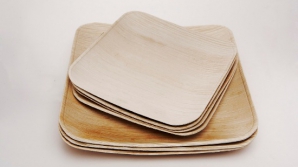 Школьники из небольшого украинского города Балта придумали экологичную посуду