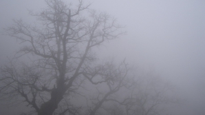 Погода на 2 декабря 2011