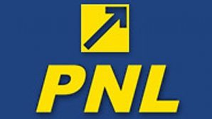 Воссоединение с Румынией станет новой целью Национально-либеральной партии 