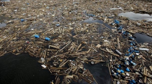 К побережью канадской провинции плывут горы мусора из Японии