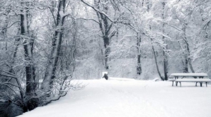 Погода на 20 января 2012