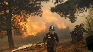 Около ста домов уничтожены огнем в центральной части Чили