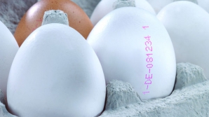 Яйца будут маркировать с 2012 года