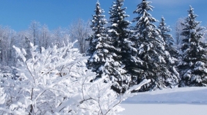 Погода на 22 января 2012