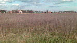 Девятая часть сельхозугодий страны не обрабатывается