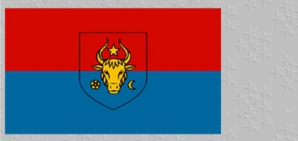 Полотнище раздора: председатель Единецкого района поднял флаг, который ПКРМ использовала на протестах